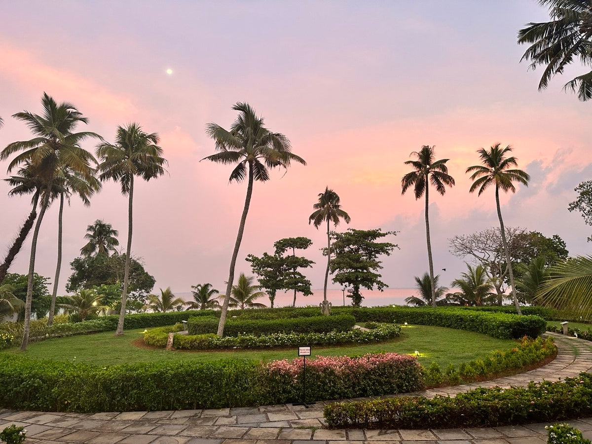 The Trip to India That Changed My Life